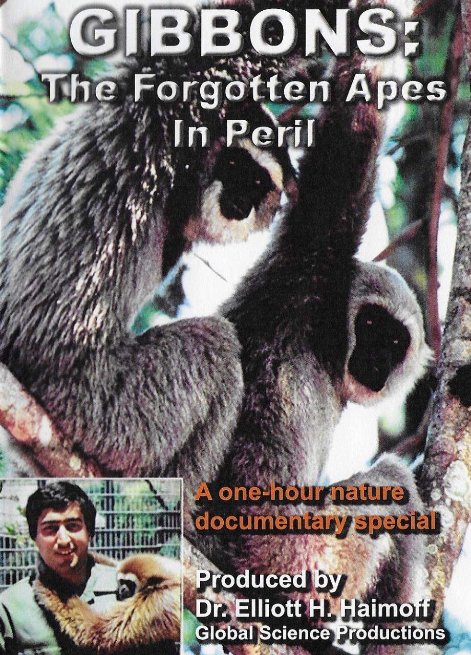 Gibbons: The Forgotten Apes in Peril